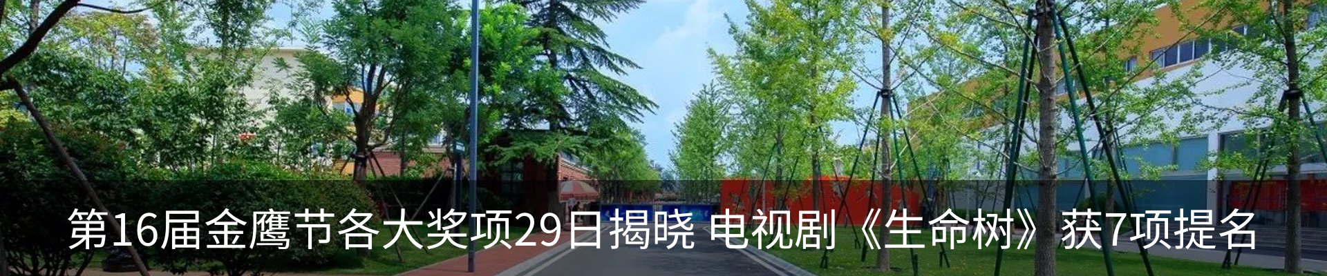 资讯动态